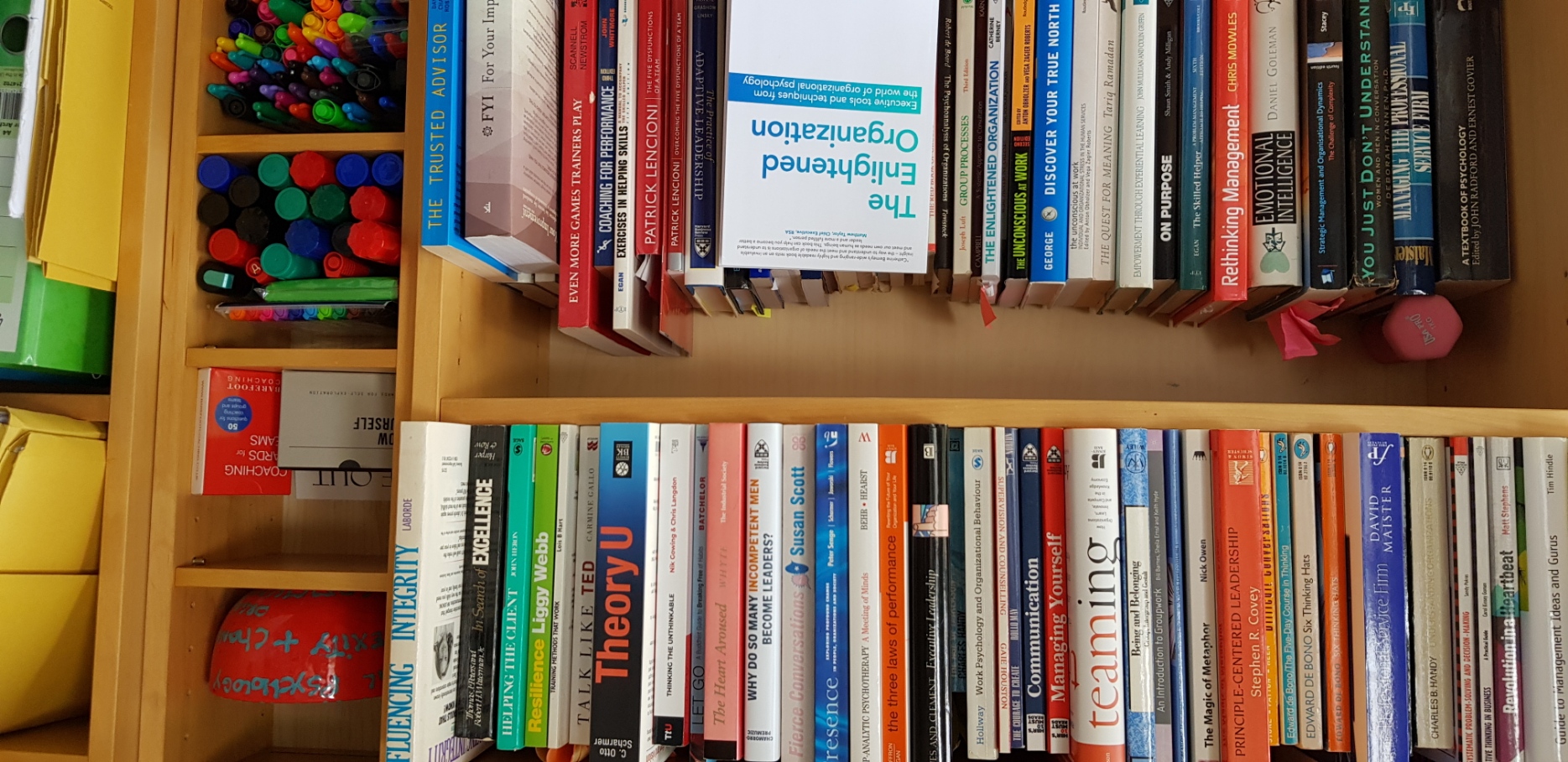 Catherine Berney's office bookshelf featuring The Enlightened Organization alongside other leadership books