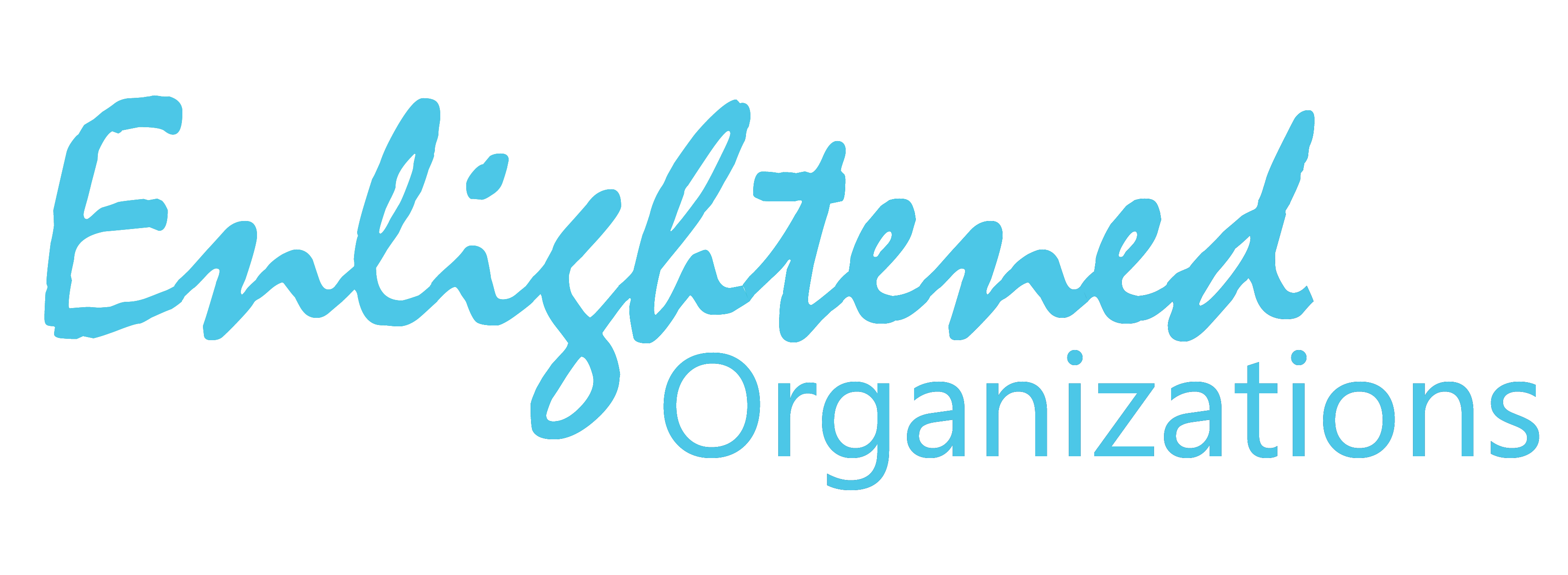 Enlightened Organizations