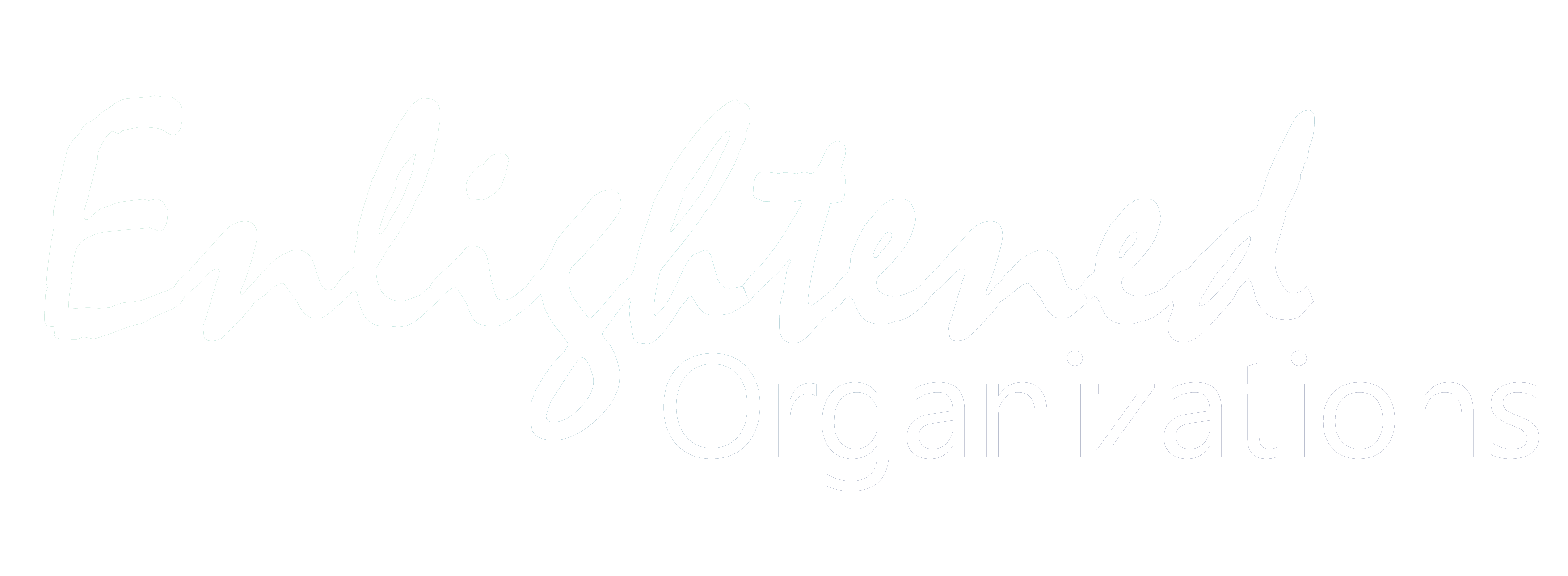 Enlightened Organizations
